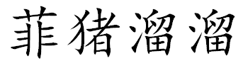 菲猪溜溜